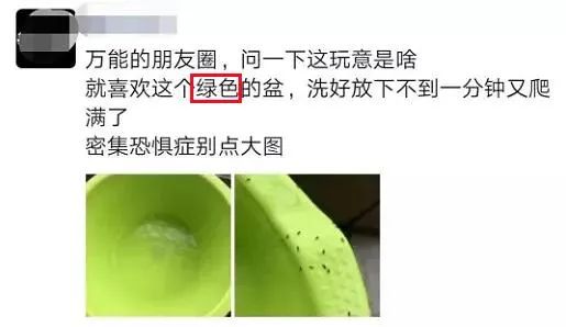 美丽云南微科普