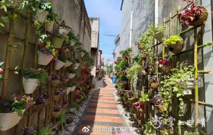 昆明盘龙发布