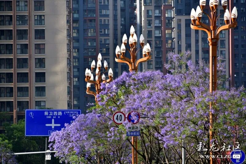 昆明西山发布