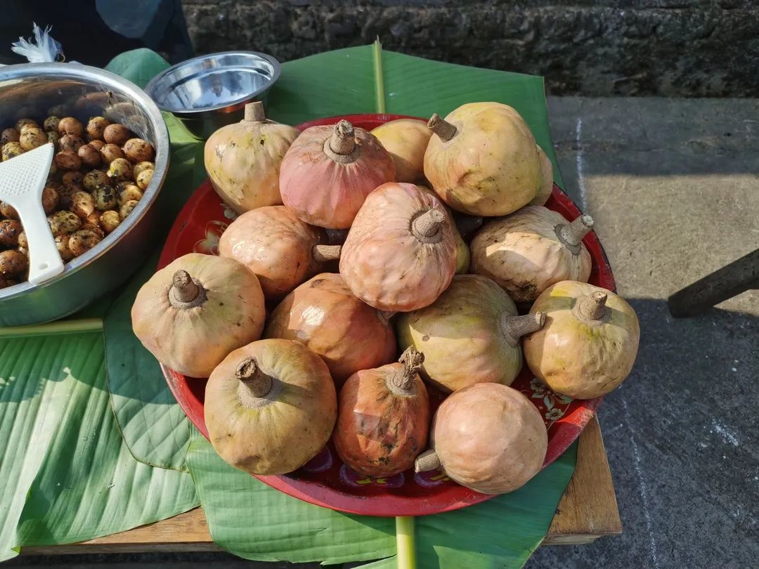 西双版纳望天树景区