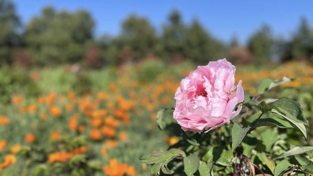 昆明阳宗海风景名胜区
