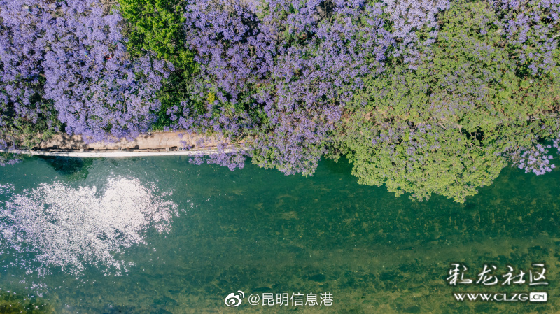 昆明信息港