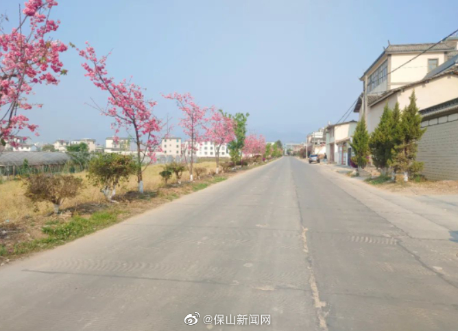 保山新闻网