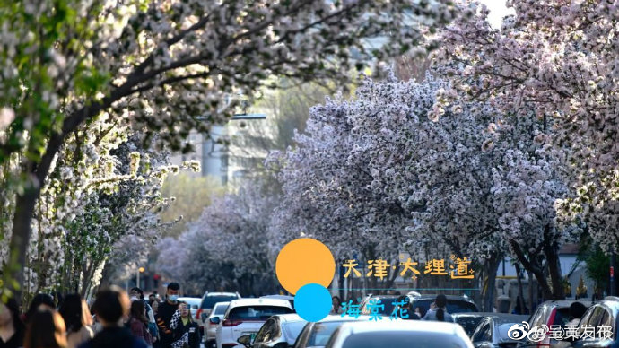 呈贡发布