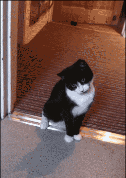 人真的会被吓一跳