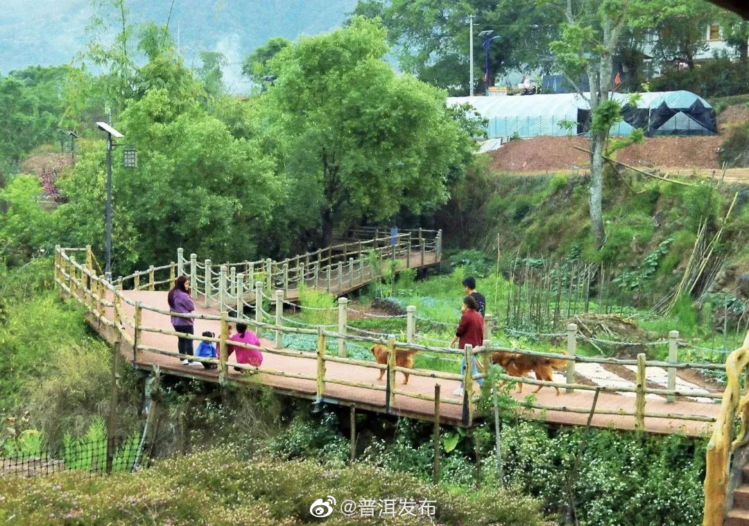 普洱发布