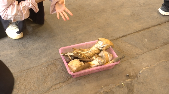 昆明信息港/cnkmxxg