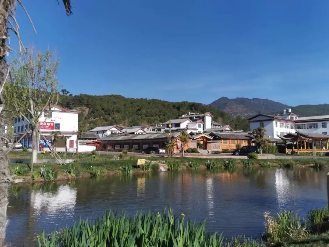 丽江日报