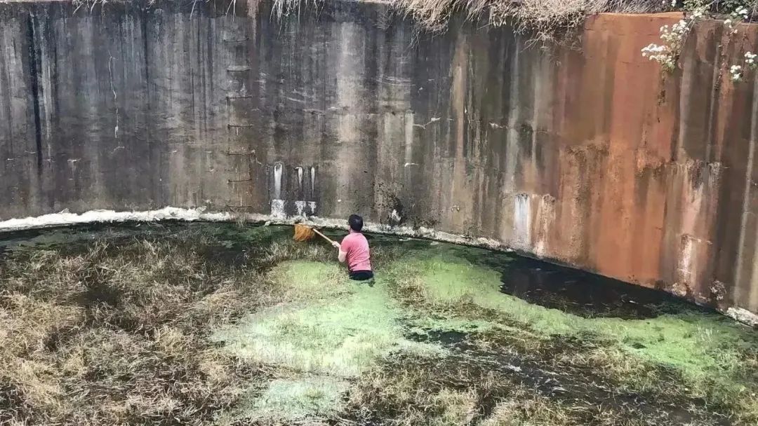 呈贡发布