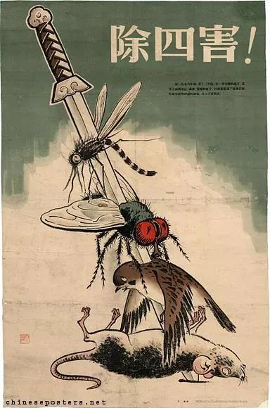 大理日报