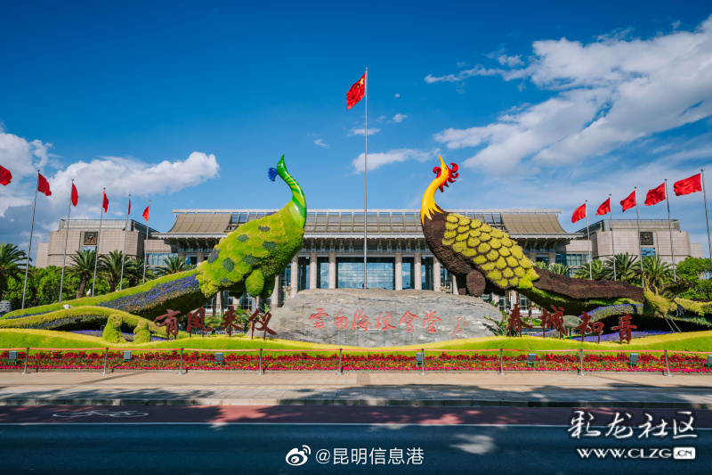 昆明信息港