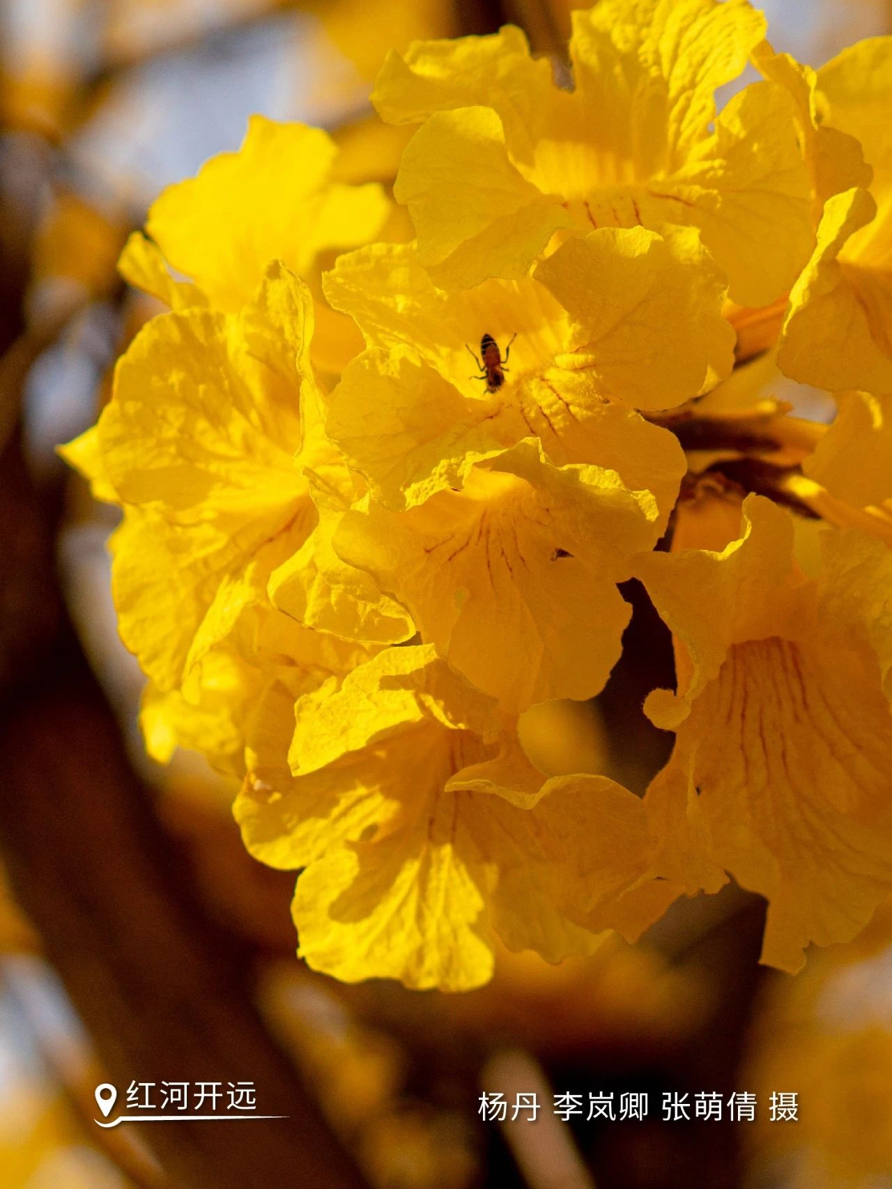 云南省文化和旅游厅