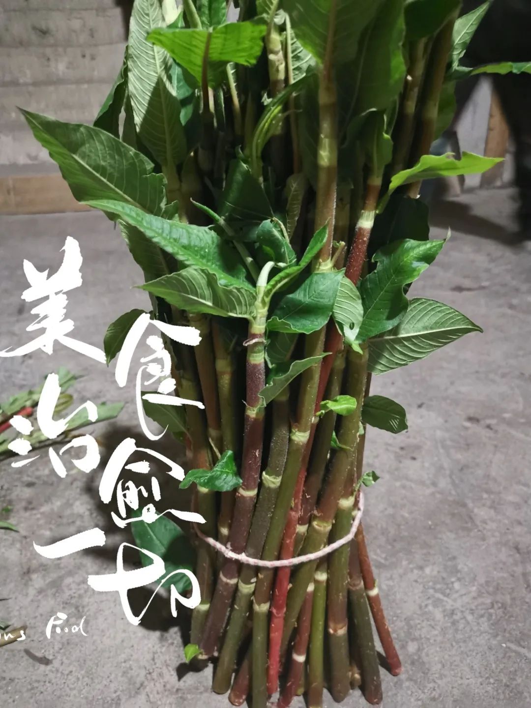 红河日报