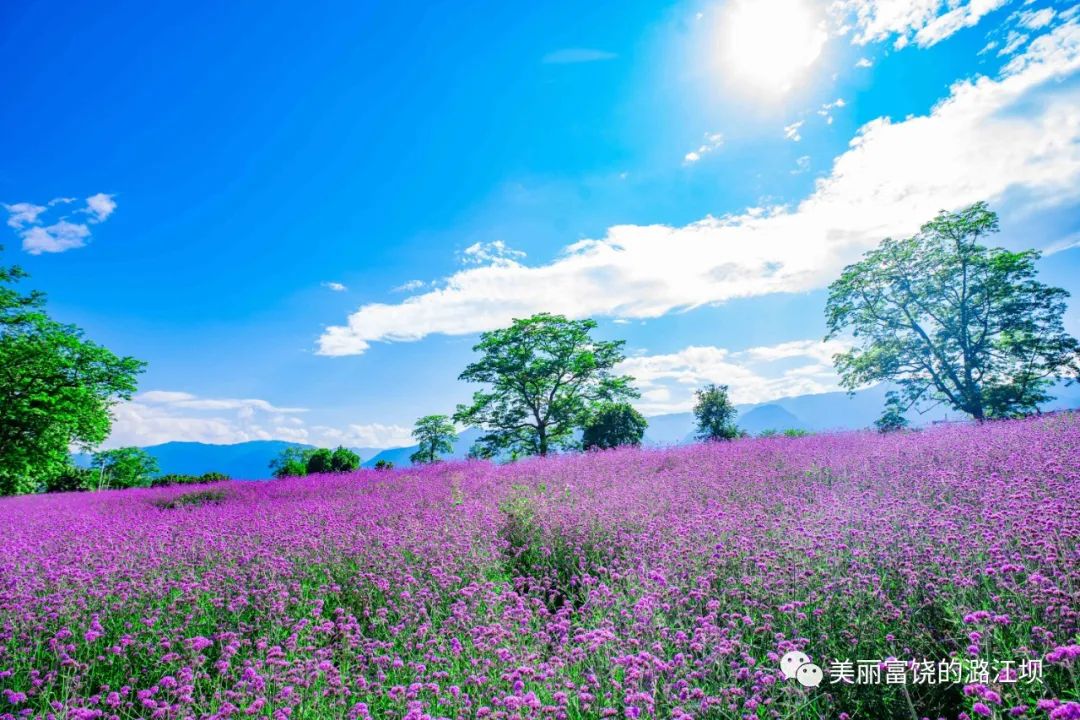 保山新闻网