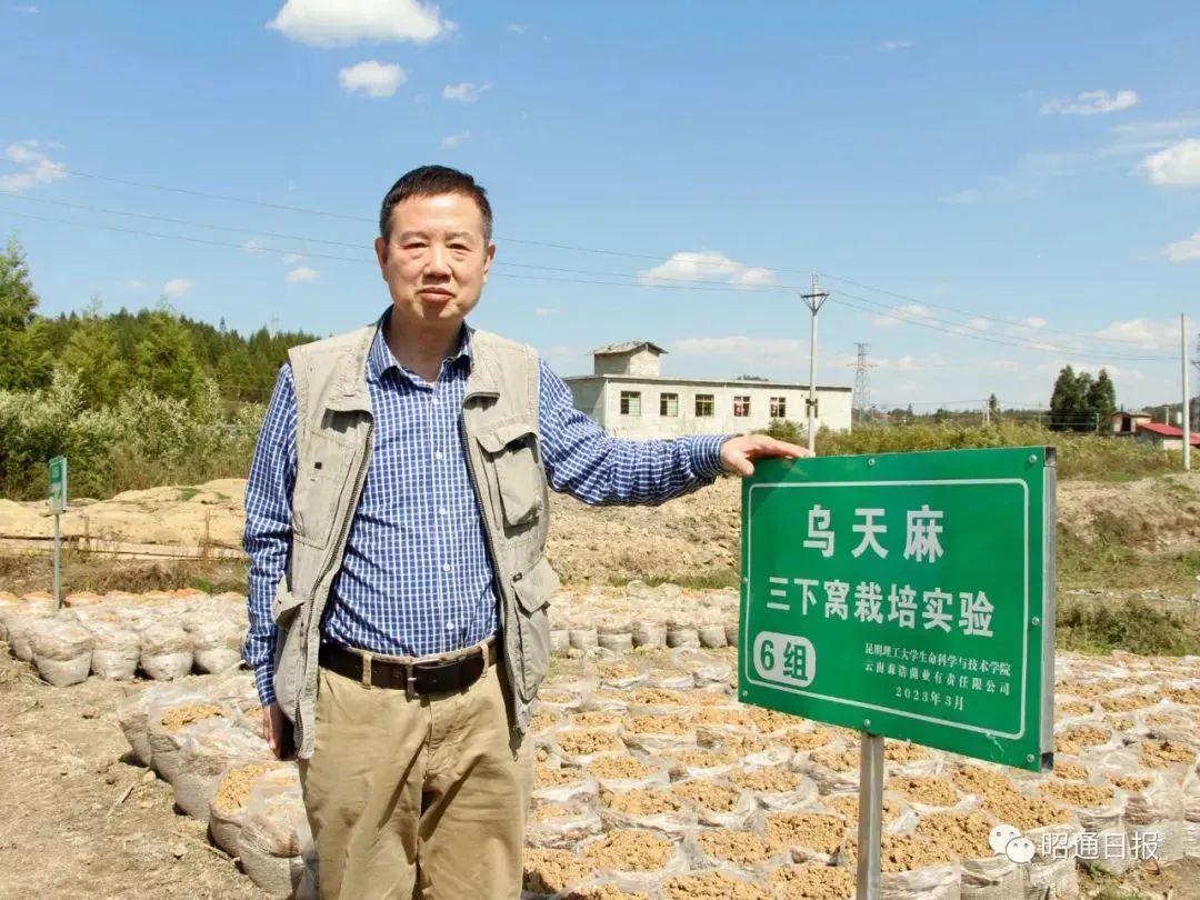 红色扎西