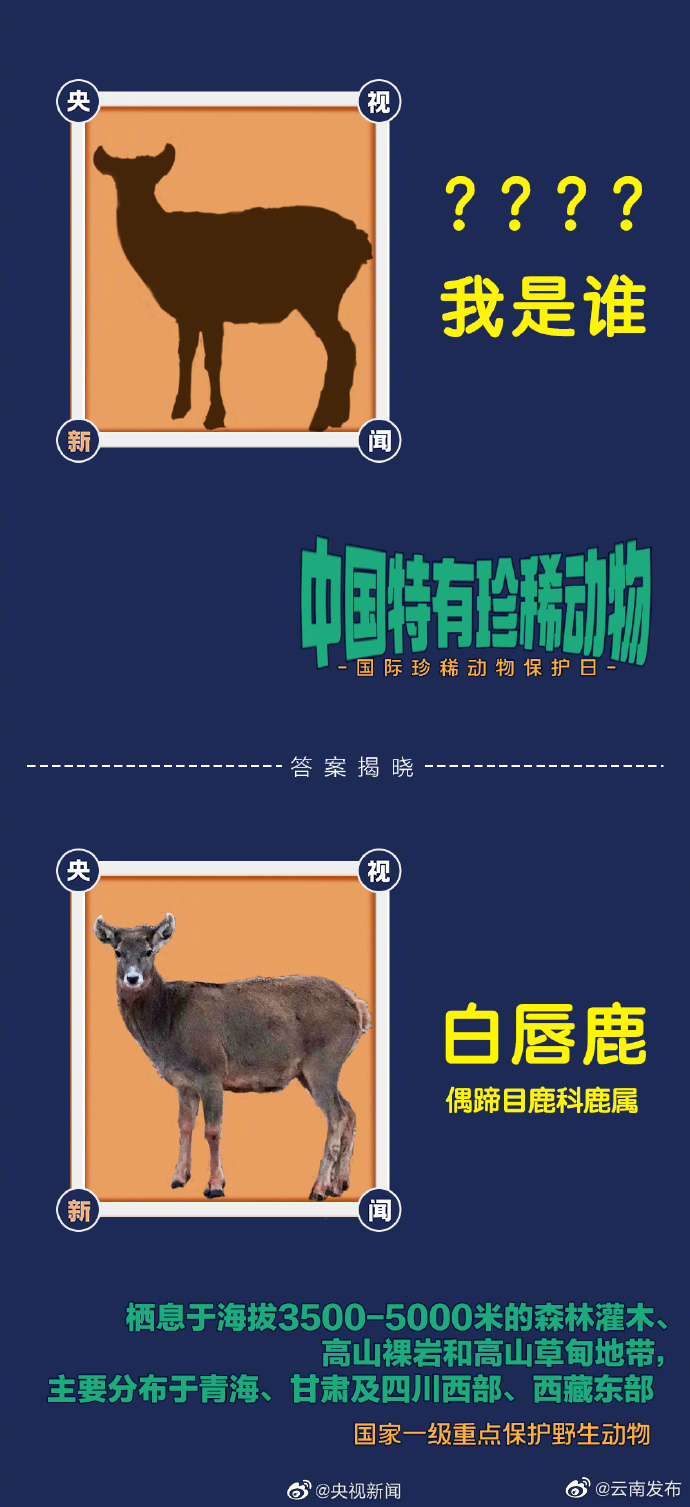 “云南发布”微博