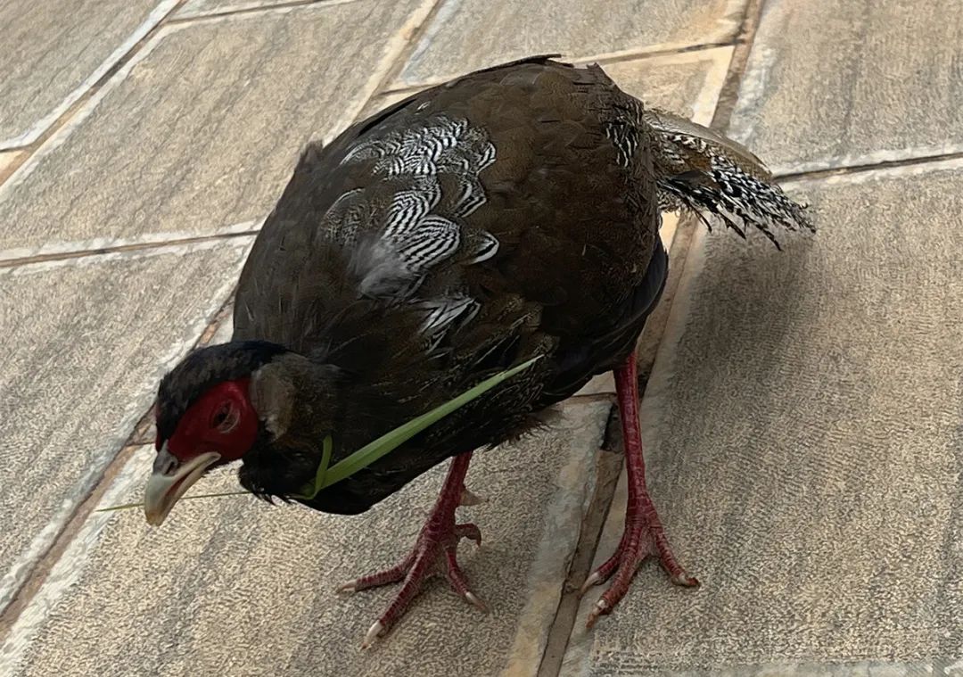 昆明铁路