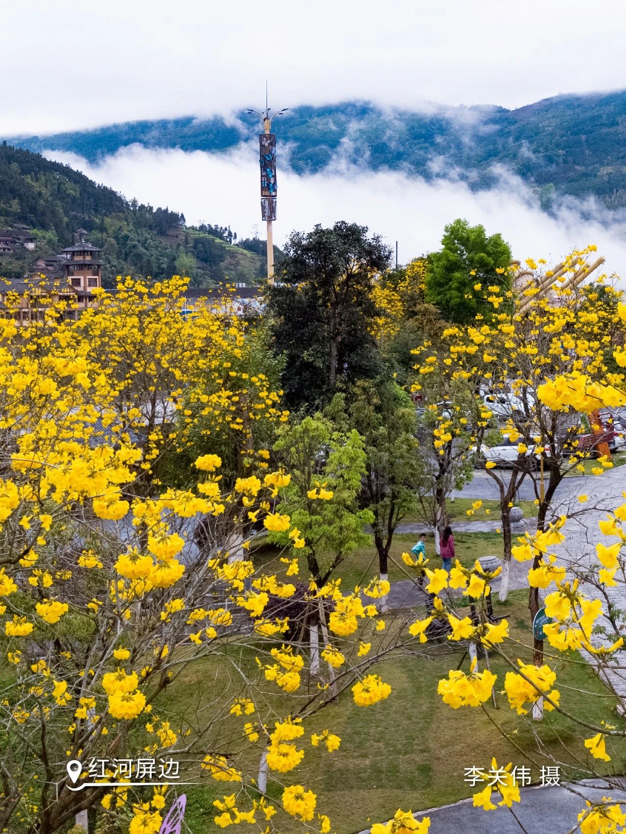 云南省文化和旅游厅