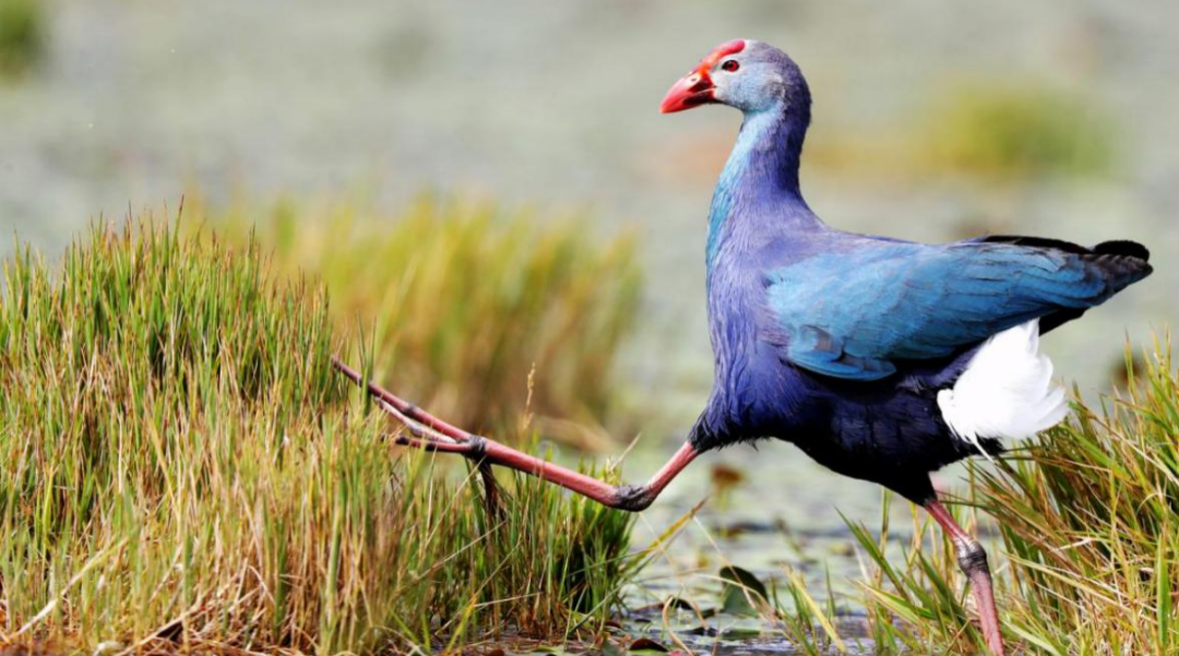 云南省文化和旅游厅