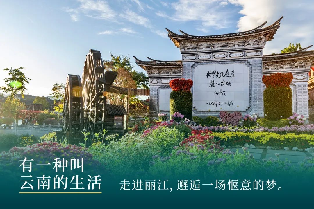 云南省文化和旅游厅