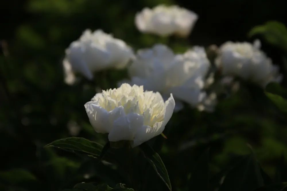昆明阳宗海风景名胜区