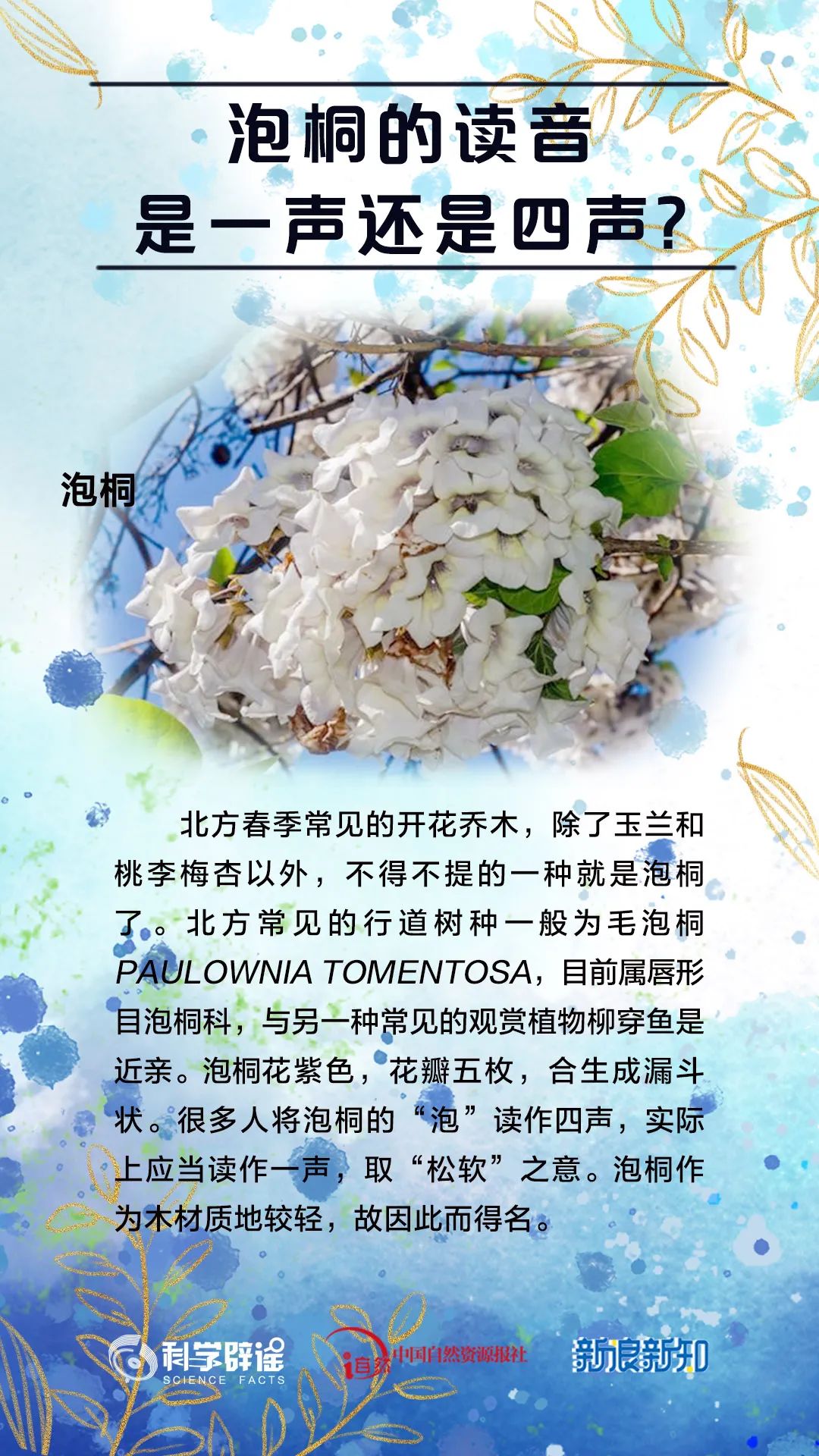 美丽云南微科普