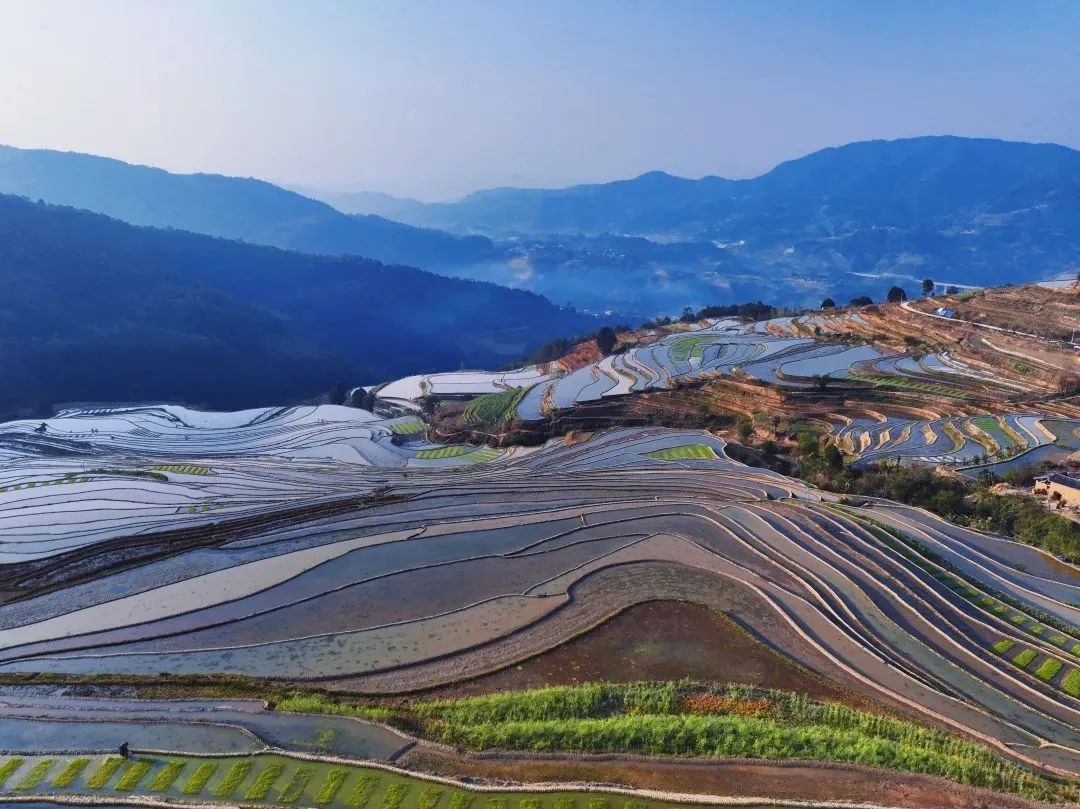 云南省文化和旅游厅