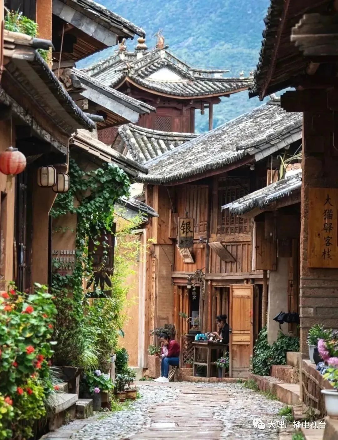 昆明信息港/cnkmxxg