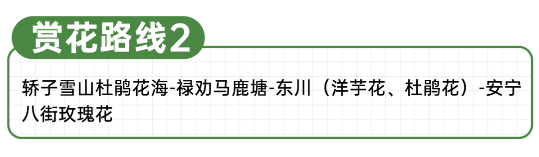 昆明文旅