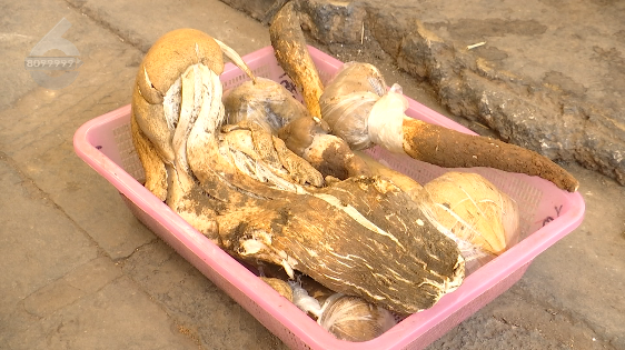 昆明信息港/cnkmxxg