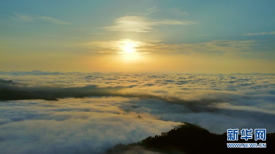云南省文化和旅游厅
