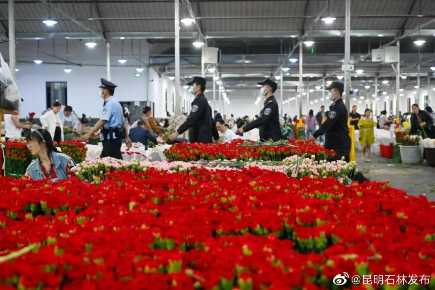 昆明石林发布