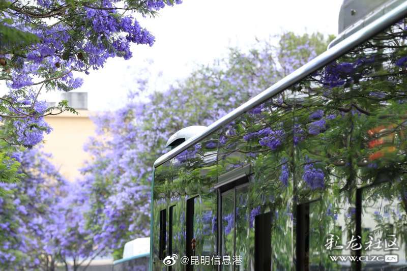 昆明信息港