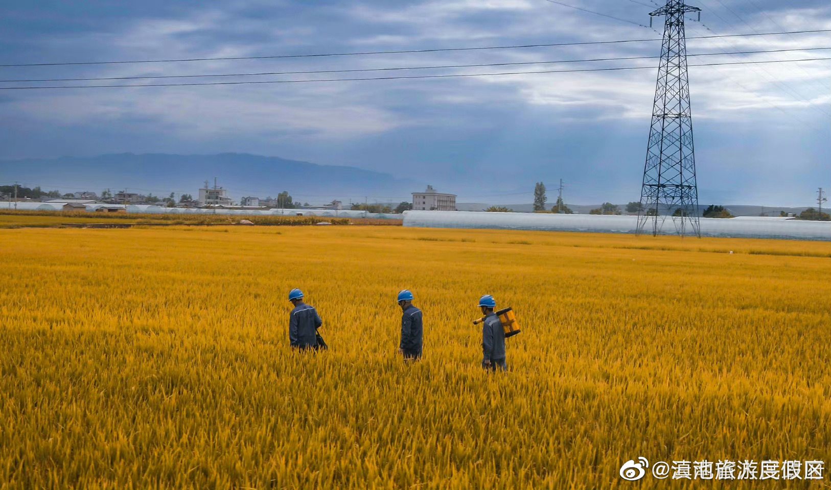 中央财政下达资金100亿元，向实际种粮农民发放一次性补贴