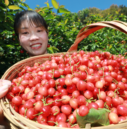 宜良之窗
