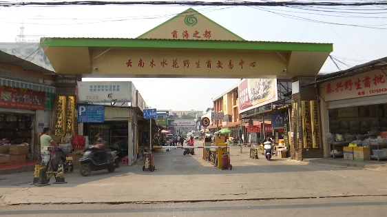 昆明信息港/cnkmxxg