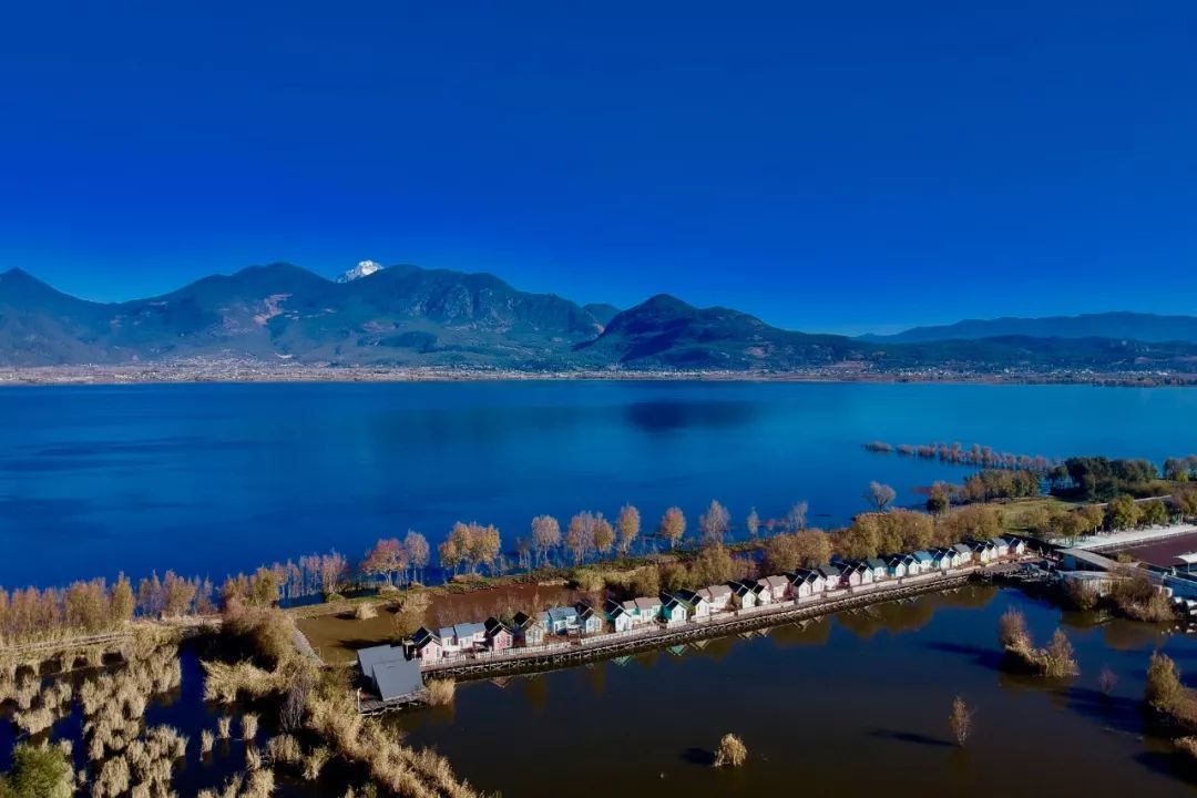 云南省文化和旅游厅