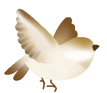 昆明公共文化云