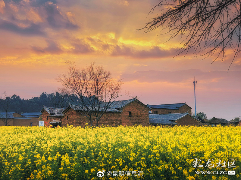 昆明信息港（微博）