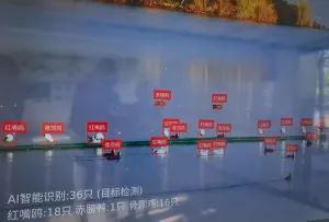 昆明发布