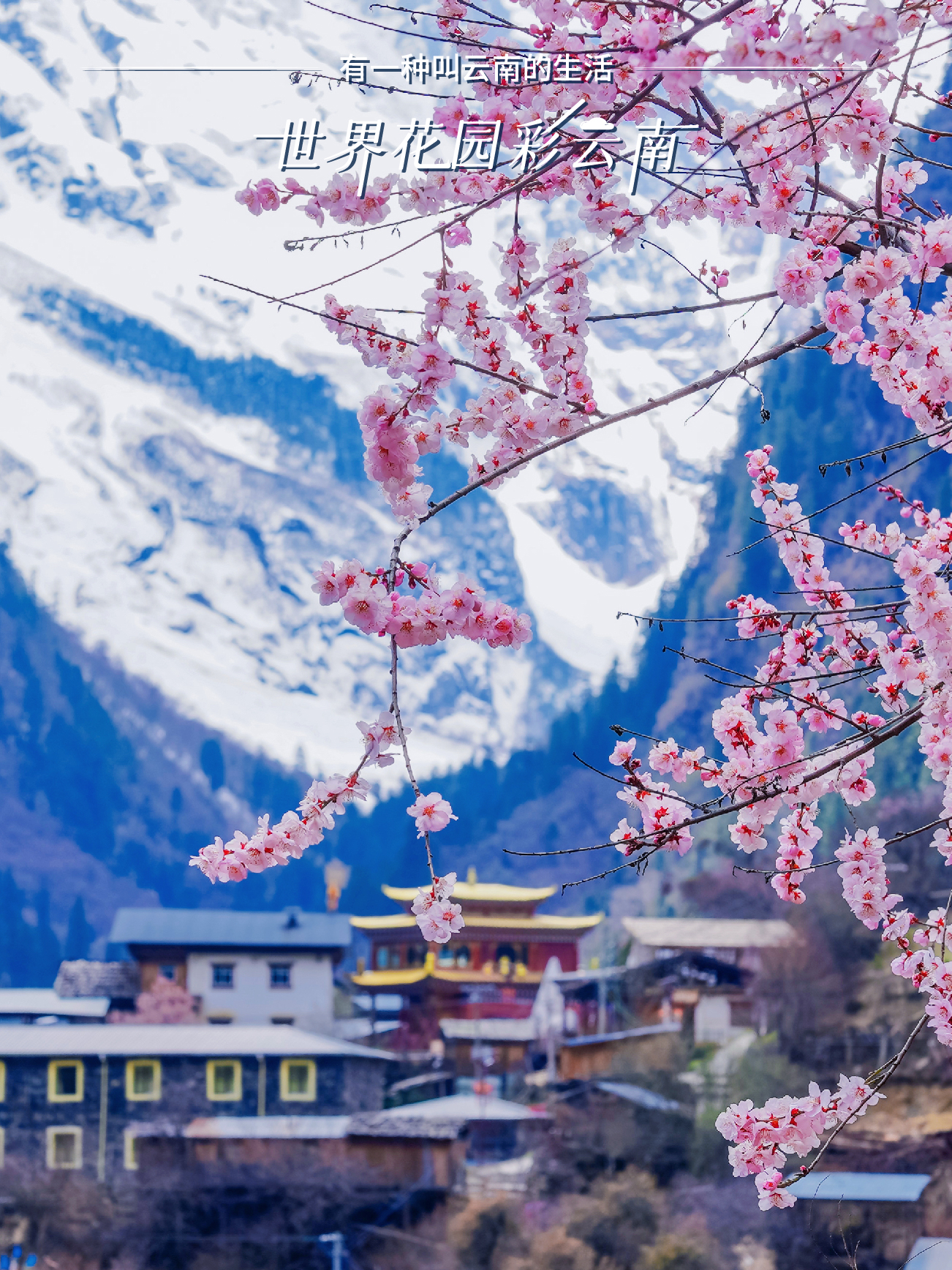 云南省文化和旅游厅
