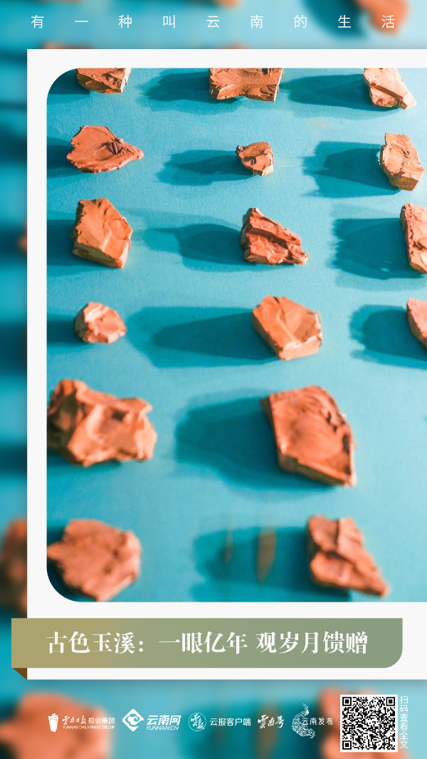 云南省文化和旅游厅