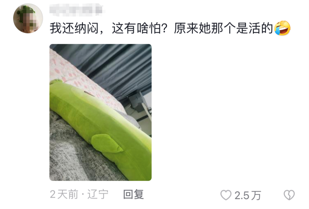 掌上春城