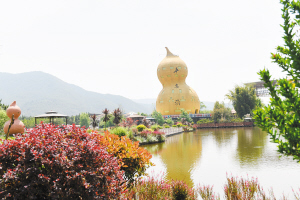 新华网云南频道