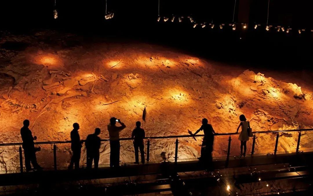 云南省文化和旅游厅