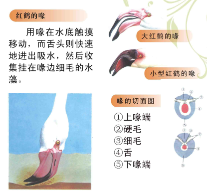 昆明动物园