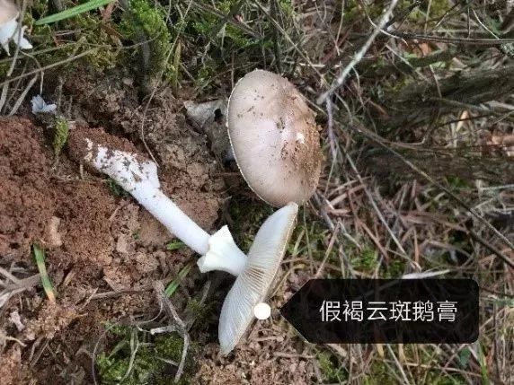 宜良之窗