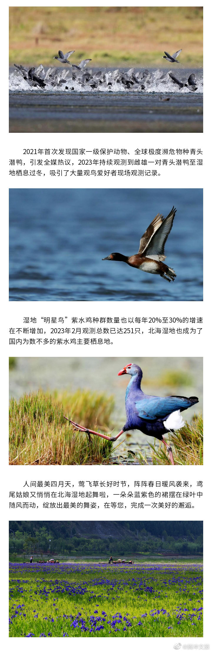 腾冲文旅