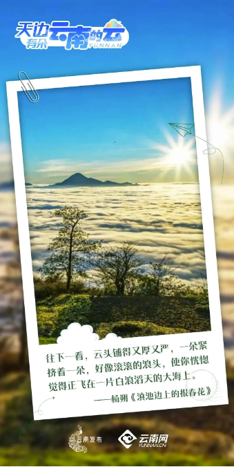 云南省文化和旅游厅