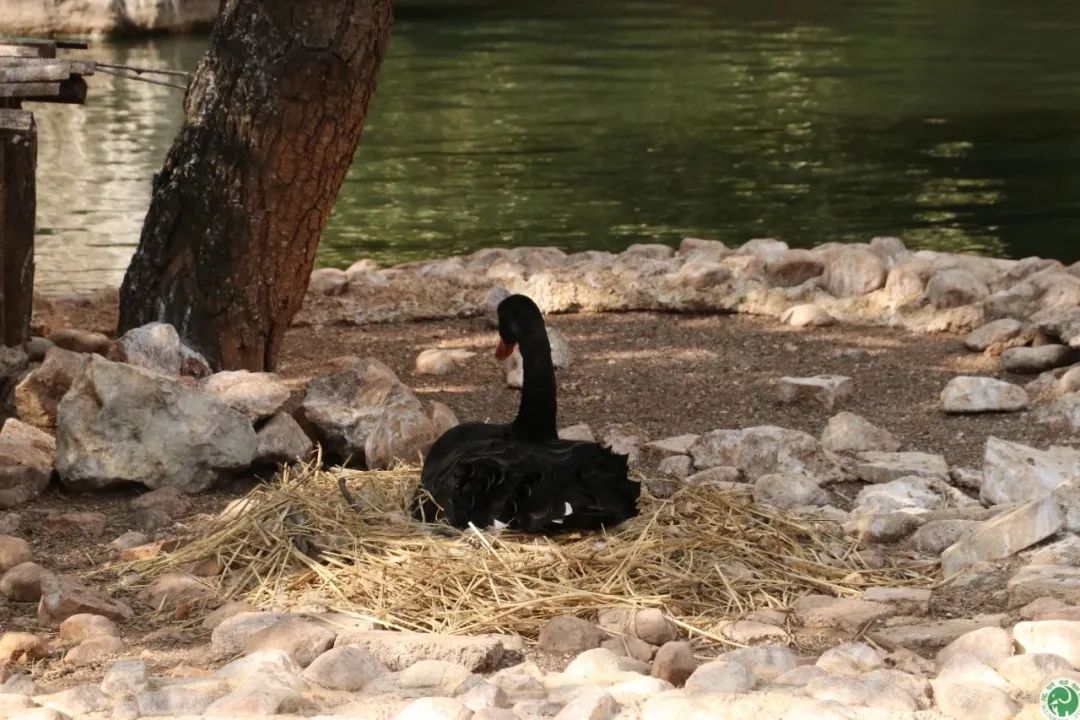 昆明动物园